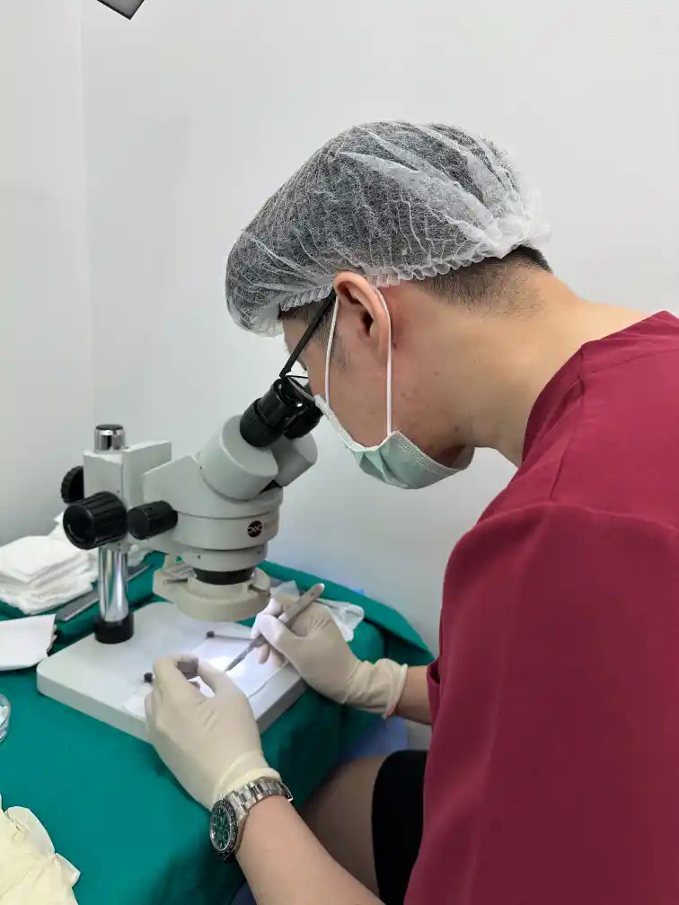 การคัดแยกรากผมผ่านกล้องไมโครสโคปเพื่อความละเอียดสูงสุด